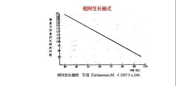 中国养猪网