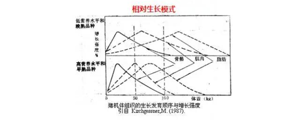 中国养猪网