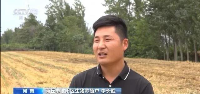 行情差效益缩水怎么办？养户：少喂点，少长点。粤猪协提出4点倡议…