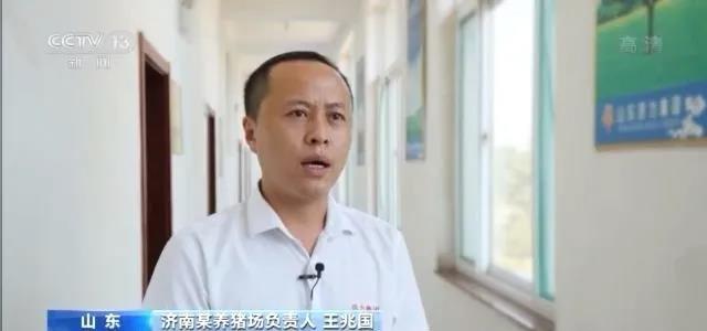 中国养猪网
