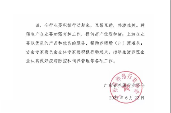中国养猪网