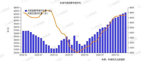 猪价连跌超20周背后：市场参与主体误判数据，对猪价盲目乐观