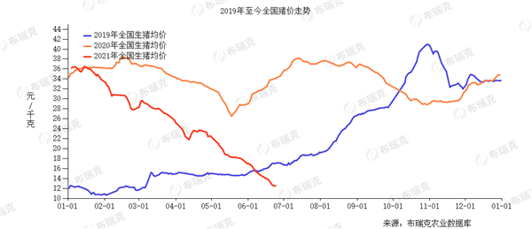 中国养猪网
