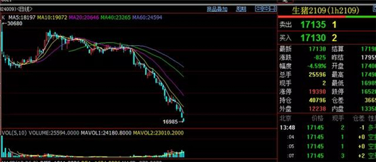 跌破17000元/吨！生猪期货再创新低，半年跌幅近五成