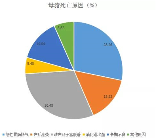 中国养猪网