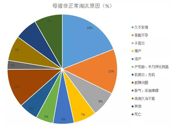 中国养猪网