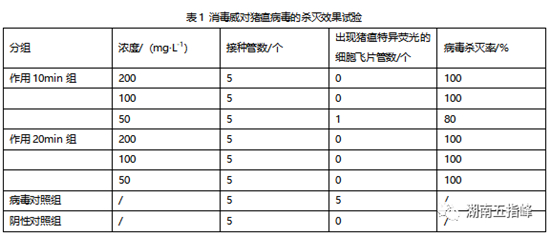 中国养猪网