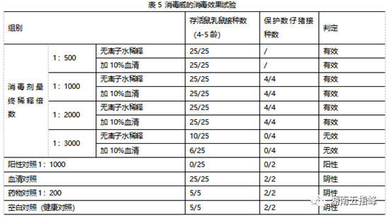 中国养猪网