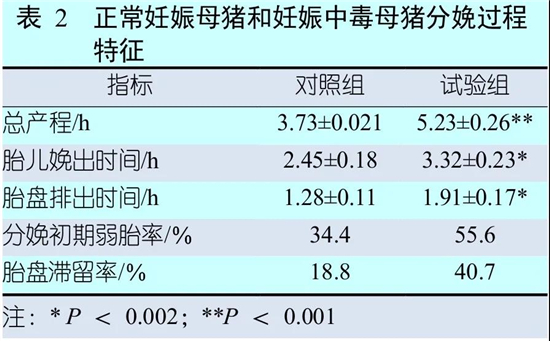 中国养猪网