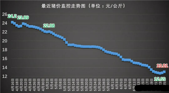 中国养猪网