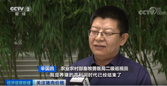 中国养猪网