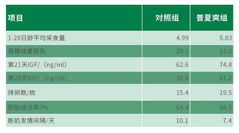 中国养猪网