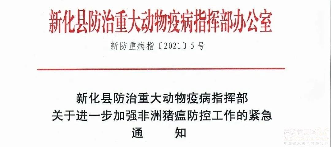 中国养猪网