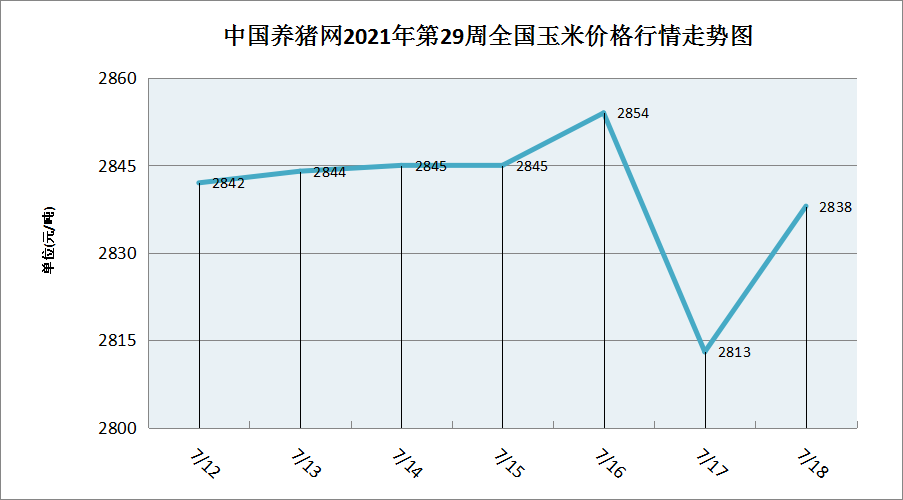 中国养猪网