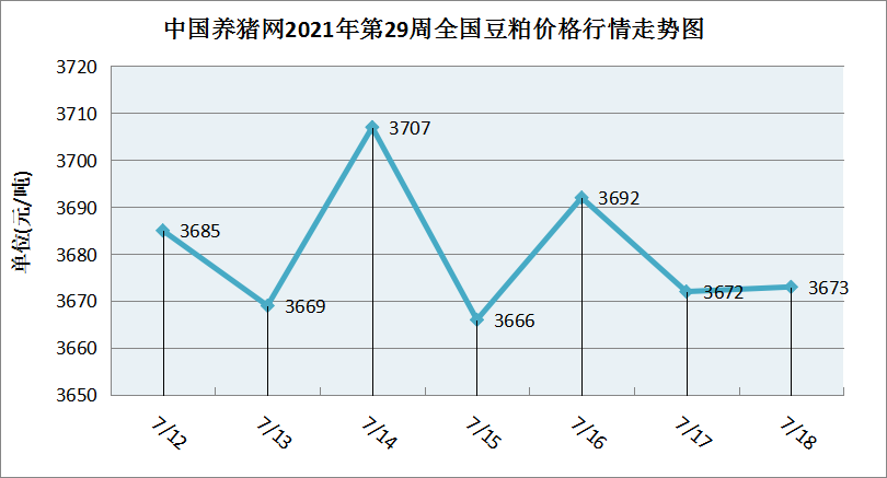 中国养猪网