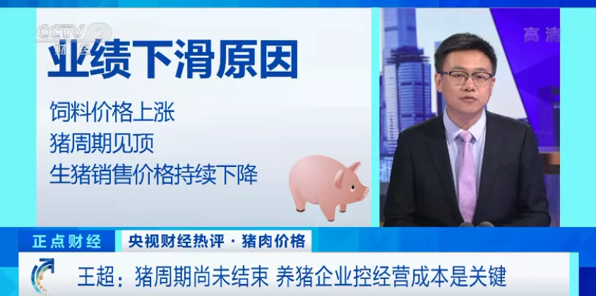 中国养猪网