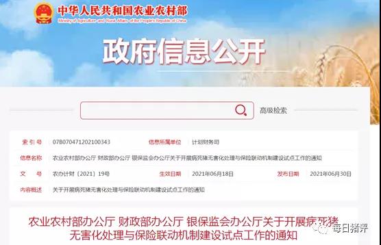 中国养猪网