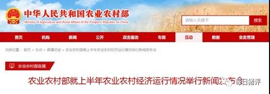 中国养猪网