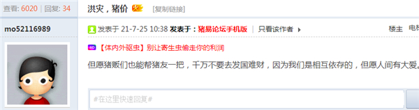 中国养猪网