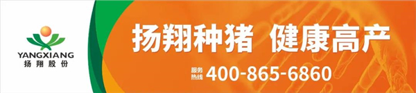 因“母猪发情找扬翔”结缘！三年内他从采购专员转变为采购经理