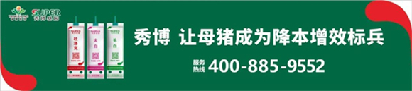 窝均产健仔数提升0.5头！同一企业六个猪场配怀成绩上升