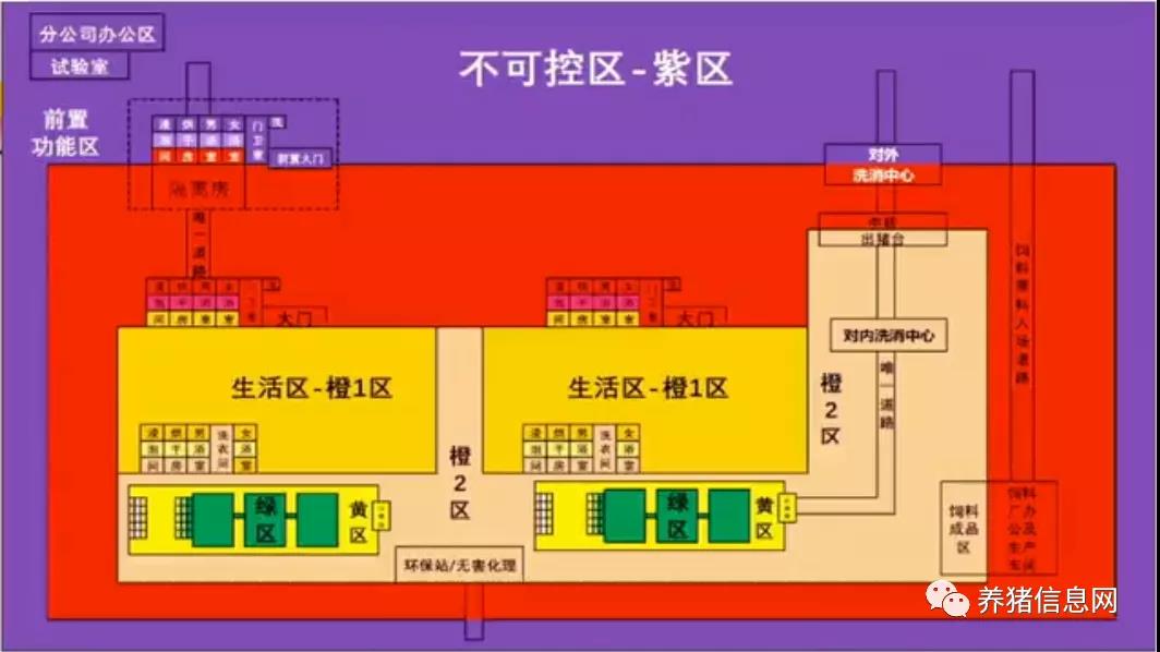 中国养猪网