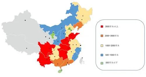 中国养猪网
