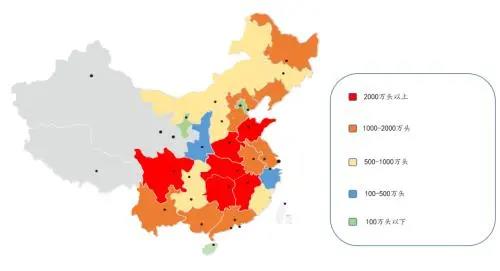 中国养猪网