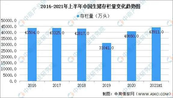 中国养猪网