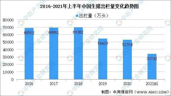 中国养猪网