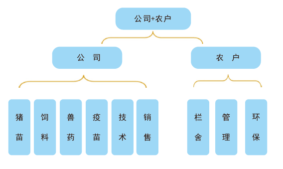 中国养猪网