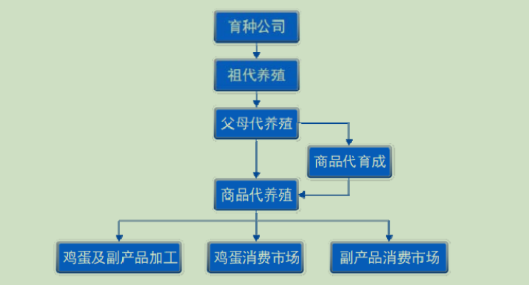 中国养猪网