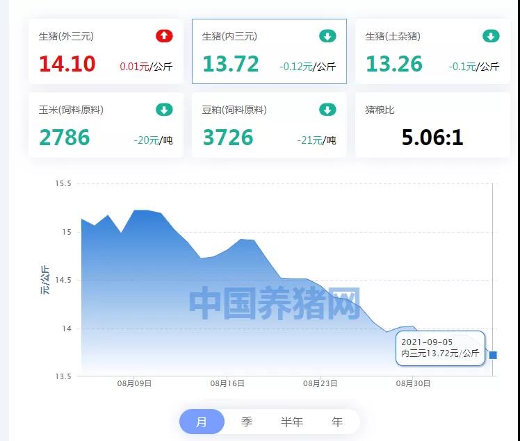中国养猪网