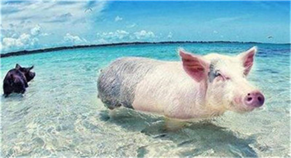 1加1大于2 提高注射用药品效果的几种方法