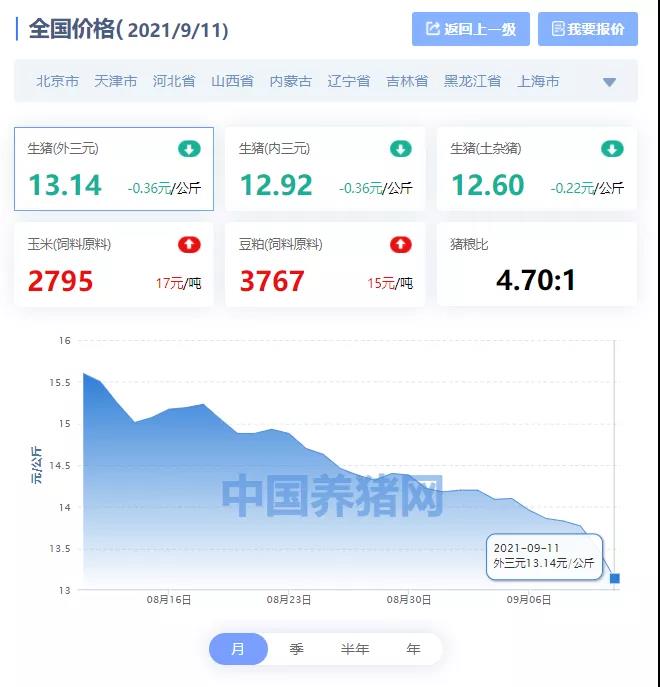 中国养猪网