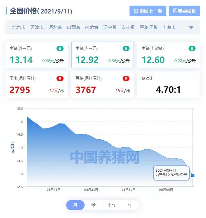 中国养猪网
