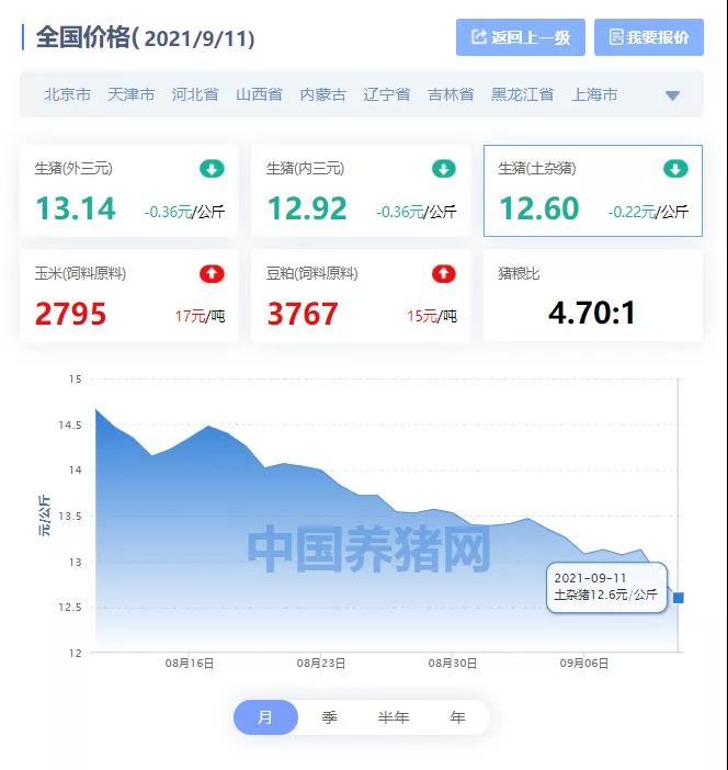 中国养猪网