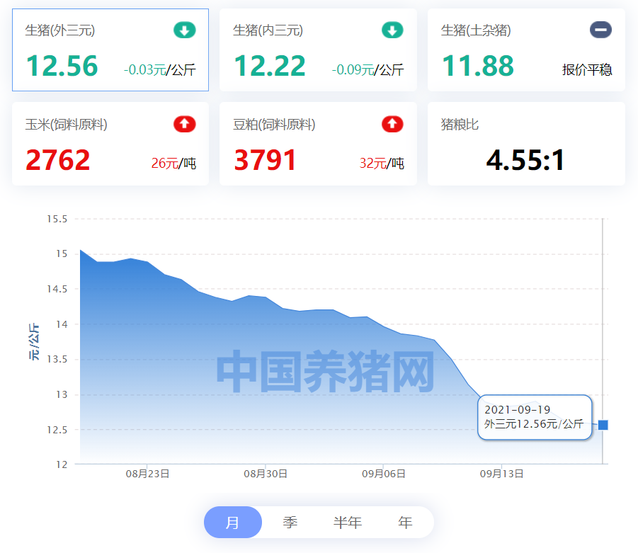中国养猪网