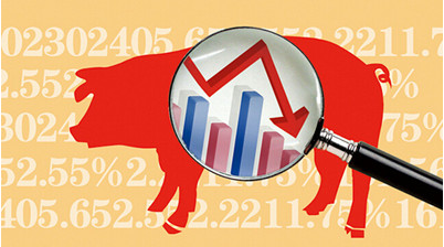10月1日猪价：国庆持续跌，多养一天亏一天