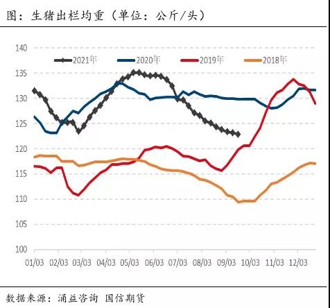 中国养猪网