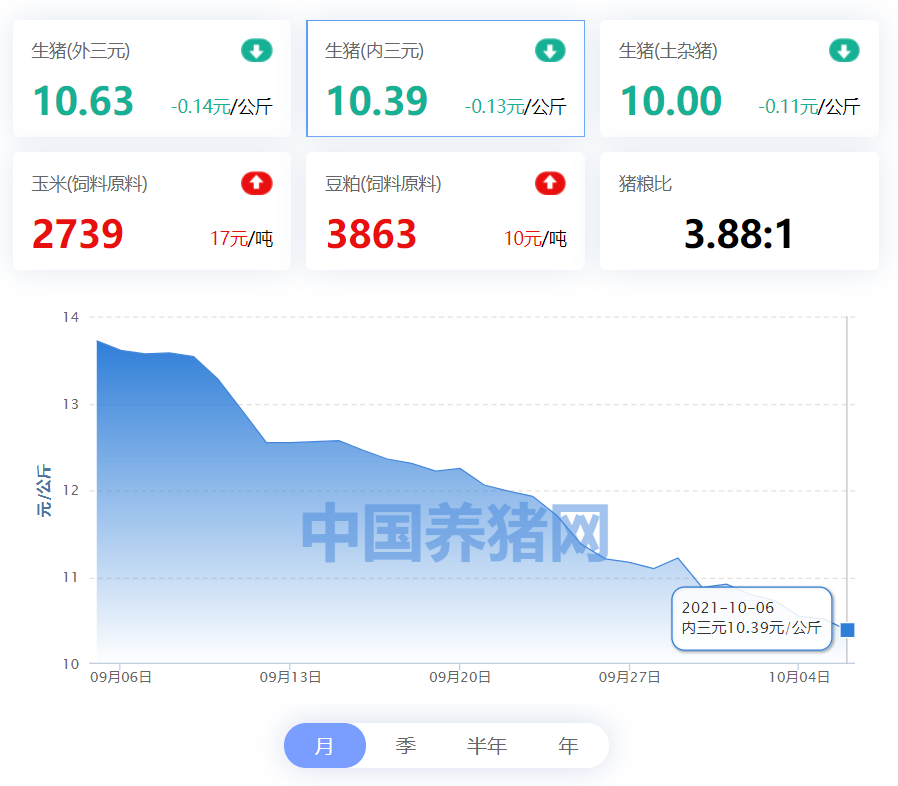 中国养猪网