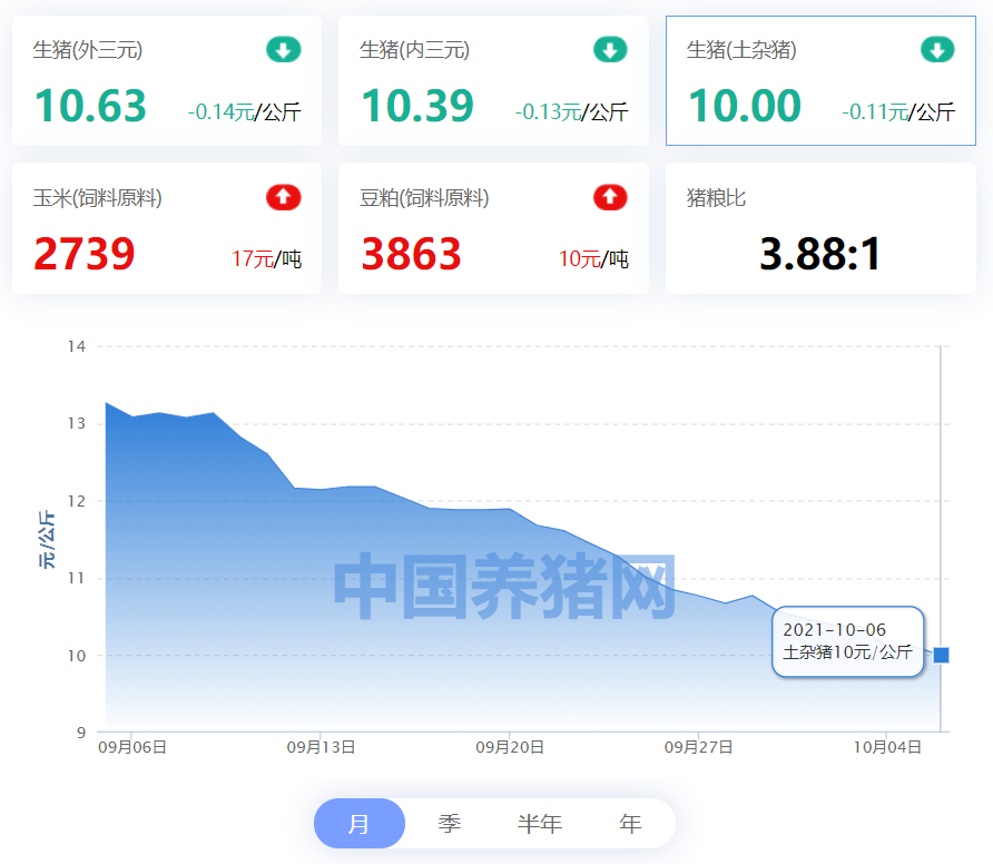 中国养猪网
