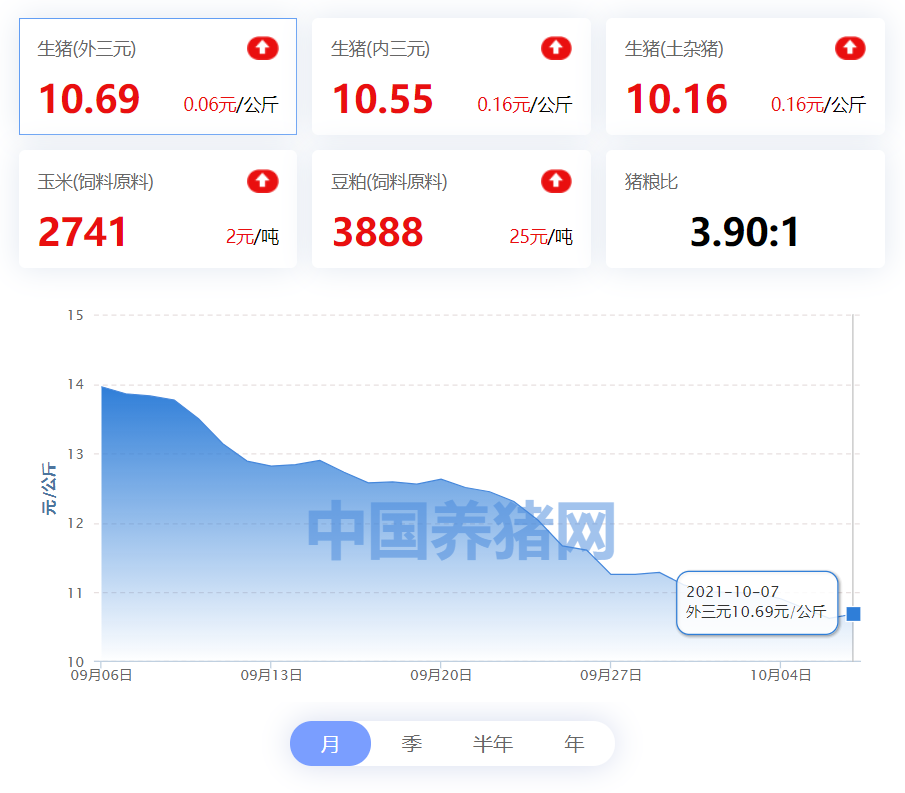 中国养猪网