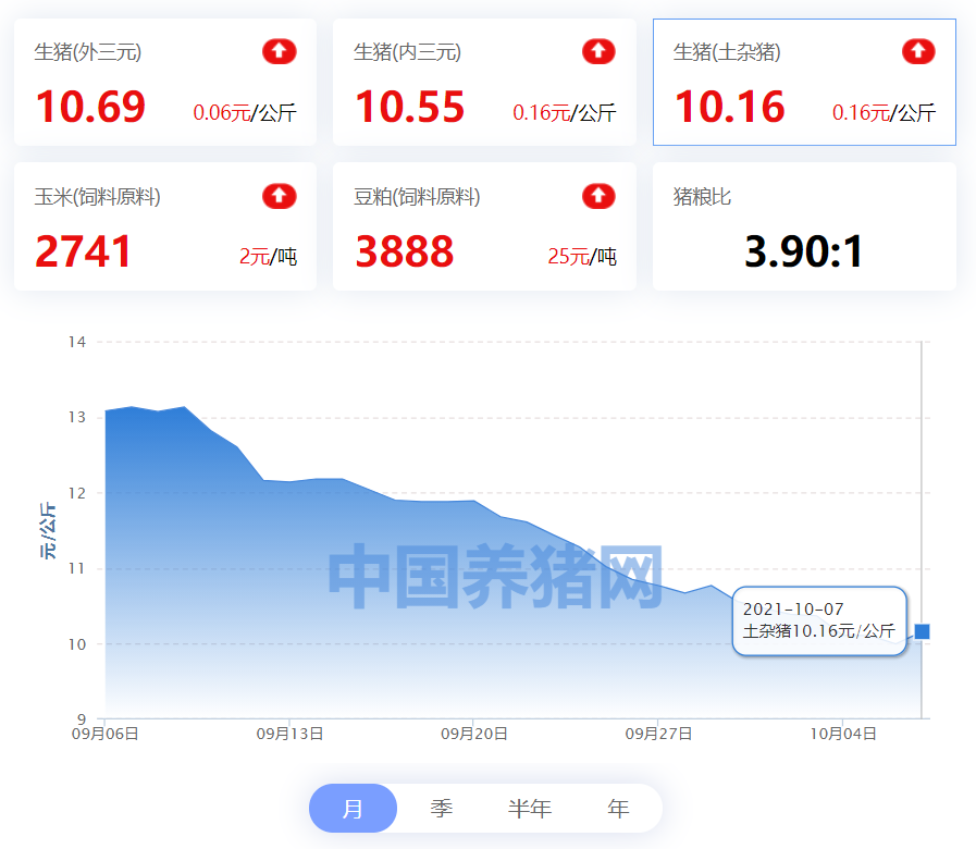 中国养猪网