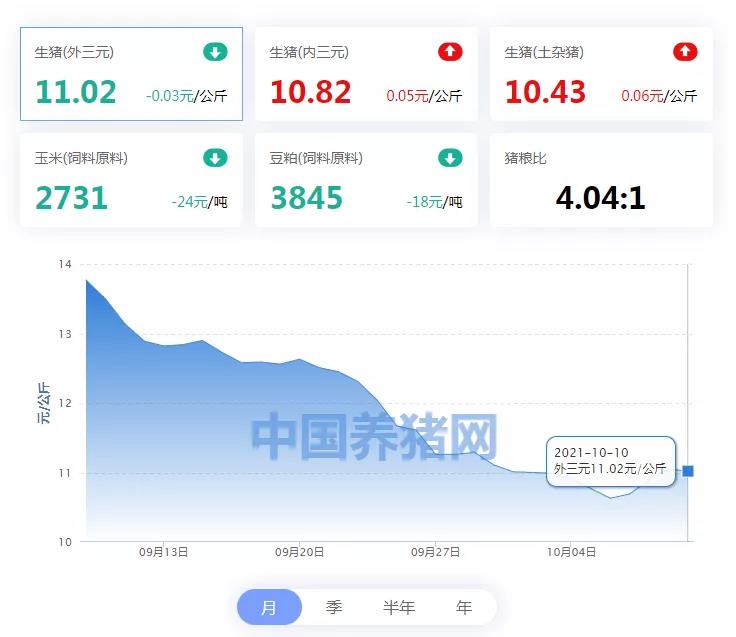 中国养猪网
