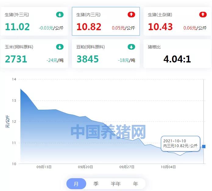 中国养猪网