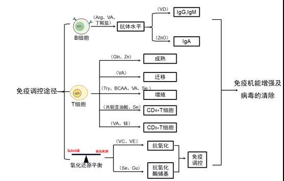 中国养猪网