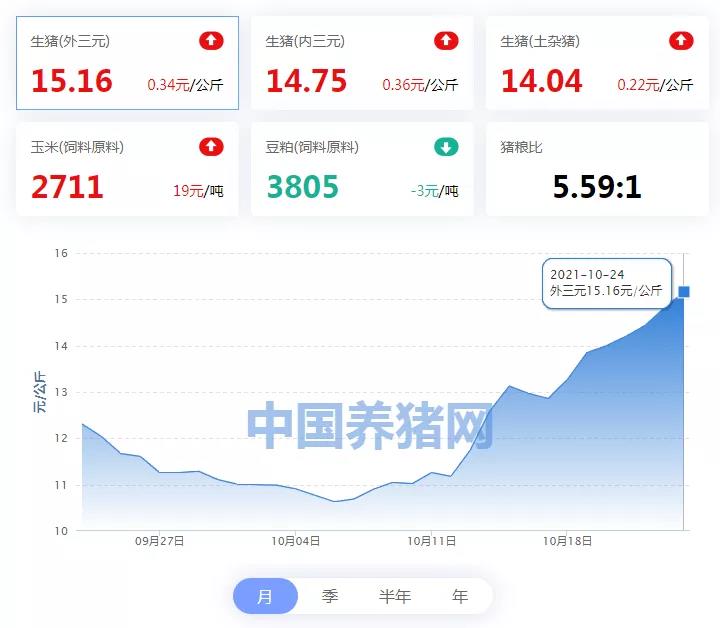 中国养猪网