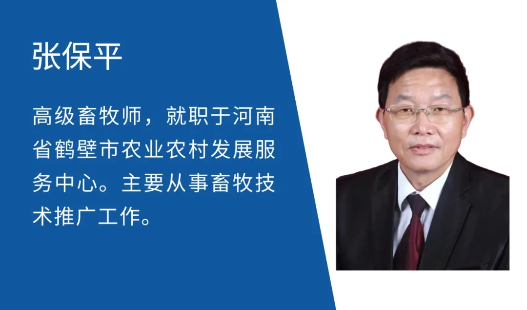 中国养猪网
