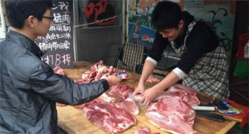 中国养猪网